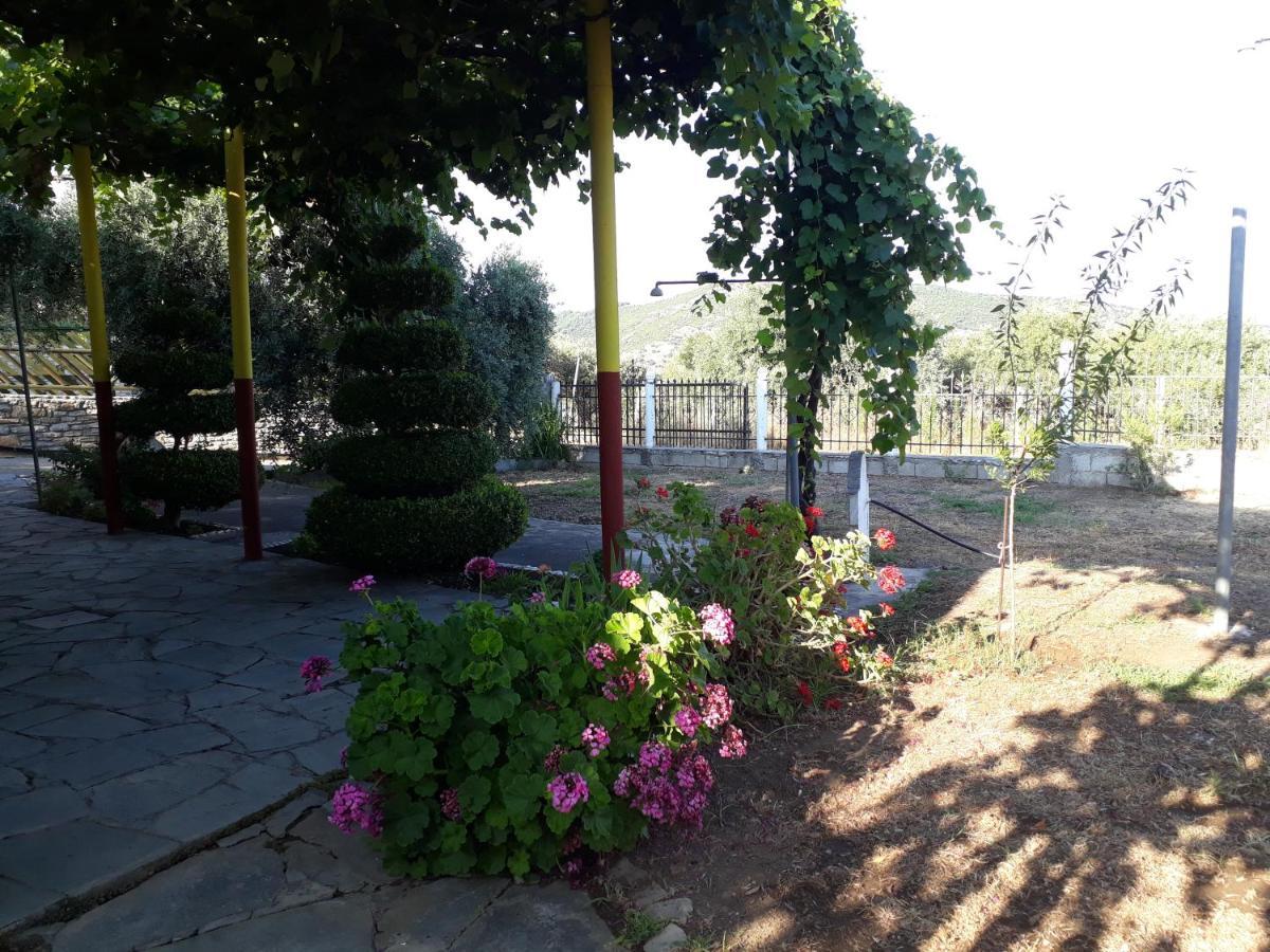 Studio Zoi Villa Aliki  Ngoại thất bức ảnh